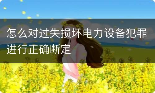 怎么对过失损坏电力设备犯罪进行正确断定