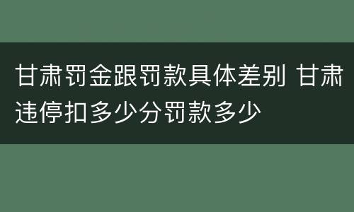 甘肃罚金跟罚款具体差别 甘肃违停扣多少分罚款多少