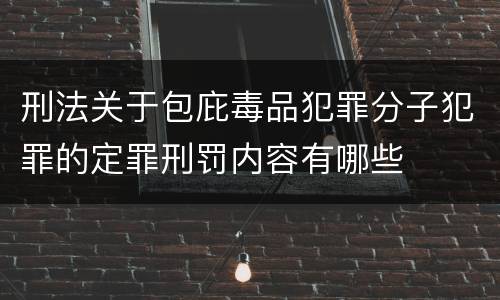 刑法关于包庇毒品犯罪分子犯罪的定罪刑罚内容有哪些