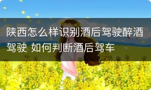 陕西怎么样识别酒后驾驶醉酒驾驶 如何判断酒后驾车