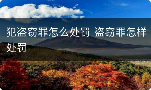 犯盗窃罪怎么处罚 盗窃罪怎样处罚