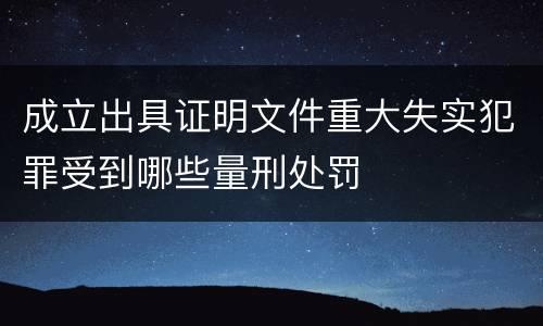 成立出具证明文件重大失实犯罪受到哪些量刑处罚