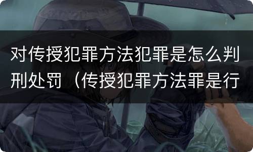 对传授犯罪方法犯罪是怎么判刑处罚（传授犯罪方法罪是行为犯吗）