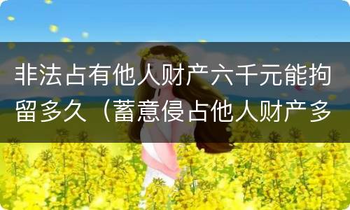 非法占有他人财产六千元能拘留多久（蓄意侵占他人财产多少钱可以拘留）