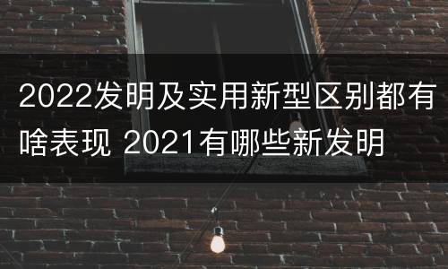 2022发明及实用新型区别都有啥表现 2021有哪些新发明