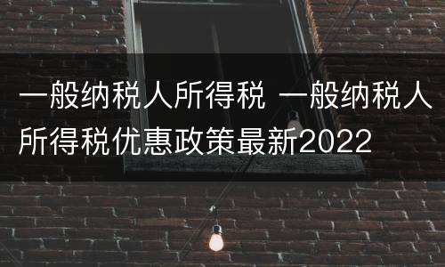 一般纳税人所得税 一般纳税人所得税优惠政策最新2022