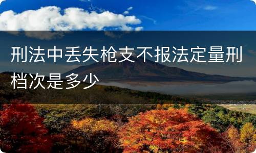 刑法中丢失枪支不报法定量刑档次是多少