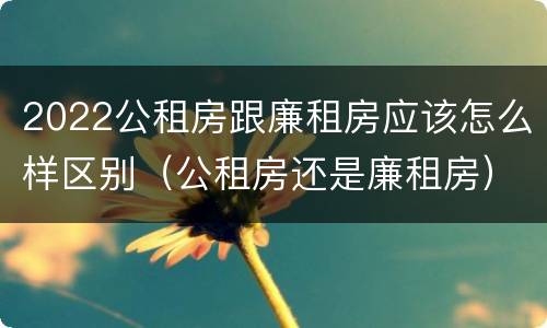 2022公租房跟廉租房应该怎么样区别（公租房还是廉租房）