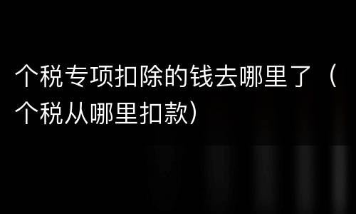个税专项扣除的钱去哪里了（个税从哪里扣款）
