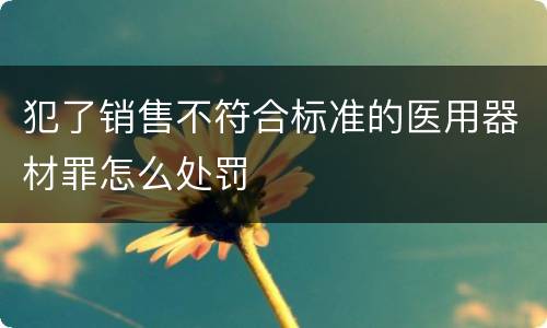 犯了销售不符合标准的医用器材罪怎么处罚