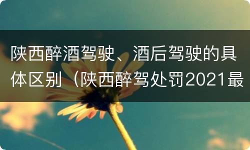 陕西醉酒驾驶、酒后驾驶的具体区别（陕西醉驾处罚2021最新标准）