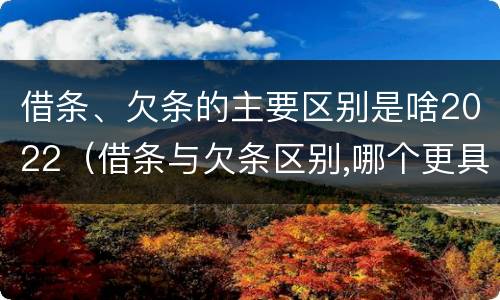 借条、欠条的主要区别是啥2022（借条与欠条区别,哪个更具法律）