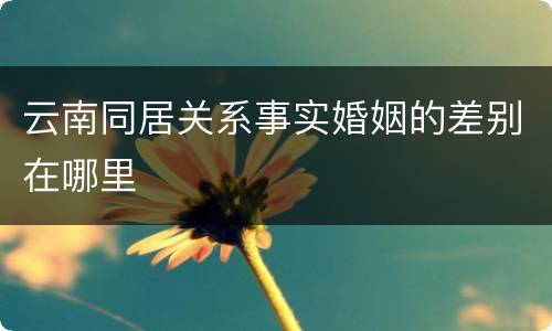 云南同居关系事实婚姻的差别在哪里