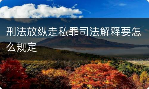 刑法放纵走私罪司法解释要怎么规定