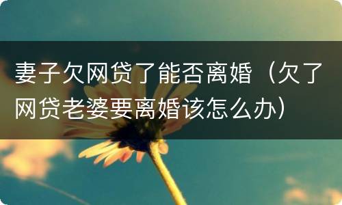 妻子欠网贷了能否离婚（欠了网贷老婆要离婚该怎么办）