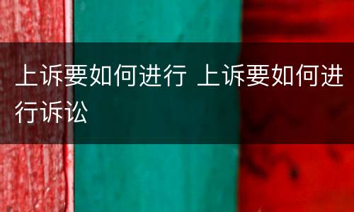 上诉要如何进行 上诉要如何进行诉讼