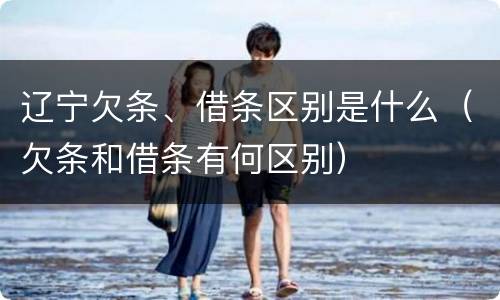 辽宁欠条、借条区别是什么（欠条和借条有何区别）