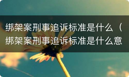 绑架案刑事追诉标准是什么（绑架案刑事追诉标准是什么意思）