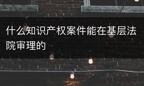 什么知识产权案件能在基层法院审理的