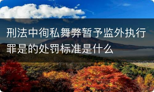 刑法中徇私舞弊暂予监外执行罪是的处罚标准是什么