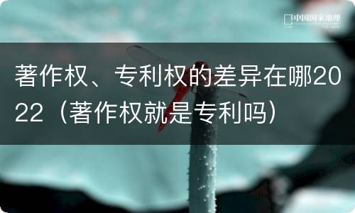 著作权、专利权的差异在哪2022（著作权就是专利吗）
