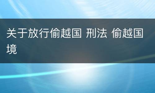 关于放行偷越国 刑法 偷越国境