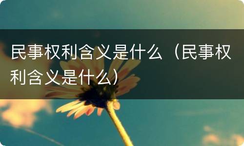 民事权利含义是什么（民事权利含义是什么）