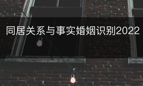 同居关系与事实婚姻识别2022