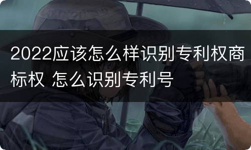 2022应该怎么样识别专利权商标权 怎么识别专利号