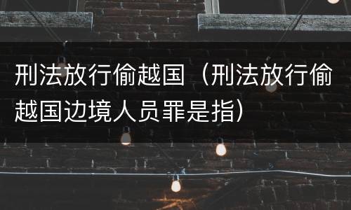 刑法放行偷越国（刑法放行偷越国边境人员罪是指）