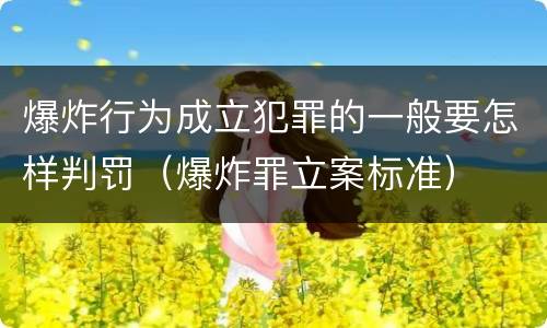 爆炸行为成立犯罪的一般要怎样判罚（爆炸罪立案标准）