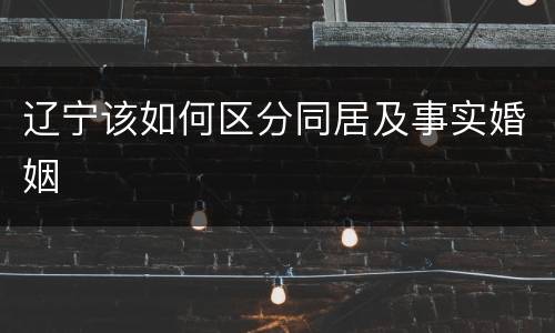 辽宁该如何区分同居及事实婚姻