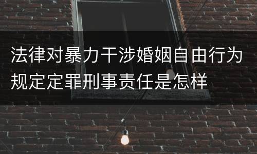 法律对暴力干涉婚姻自由行为规定定罪刑事责任是怎样