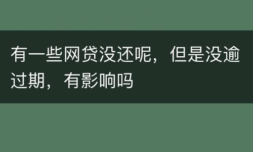 有一些网贷没还呢，但是没逾过期，有影响吗