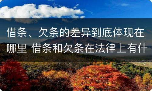 借条、欠条的差异到底体现在哪里 借条和欠条在法律上有什么不一样的地方