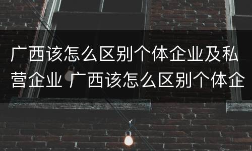 广西该怎么区别个体企业及私营企业 广西该怎么区别个体企业及私营企业呢