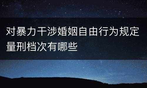 对暴力干涉婚姻自由行为规定量刑档次有哪些