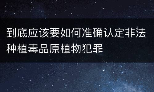 到底应该要如何准确认定非法种植毒品原植物犯罪