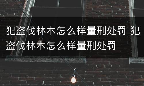 犯盗伐林木怎么样量刑处罚 犯盗伐林木怎么样量刑处罚