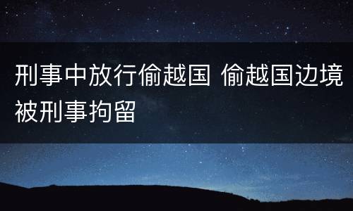 刑事中放行偷越国 偷越国边境被刑事拘留