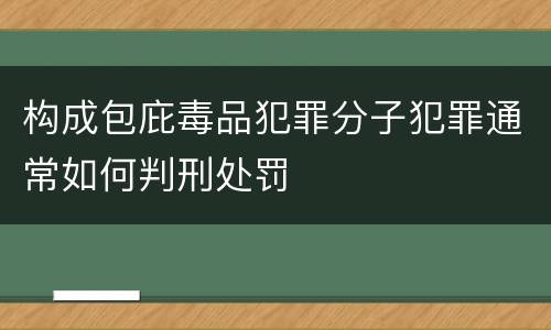 构成包庇毒品犯罪分子犯罪通常如何判刑处罚