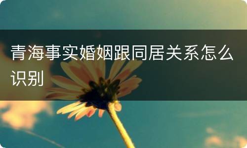 青海事实婚姻跟同居关系怎么识别