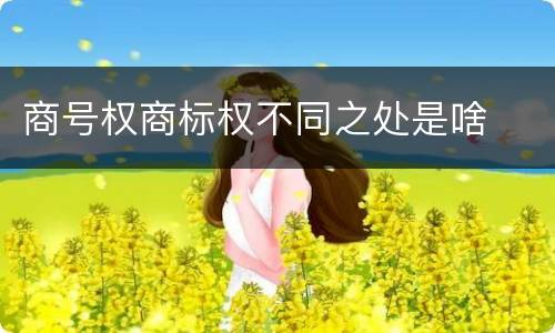商号权商标权不同之处是啥