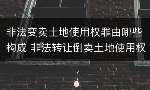 非法变卖土地使用权罪由哪些构成 非法转让倒卖土地使用权罪情节严重的认定