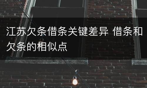江苏欠条借条关键差异 借条和欠条的相似点