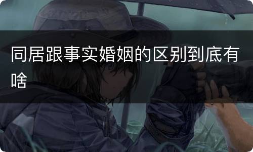 同居跟事实婚姻的区别到底有啥