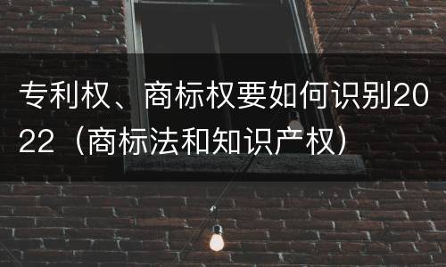 专利权、商标权要如何识别2022（商标法和知识产权）