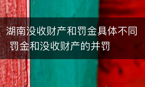 湖南没收财产和罚金具体不同 罚金和没收财产的并罚