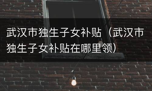 武汉市独生子女补贴（武汉市独生子女补贴在哪里领）