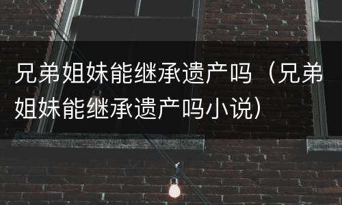 兄弟姐妹能继承遗产吗（兄弟姐妹能继承遗产吗小说）